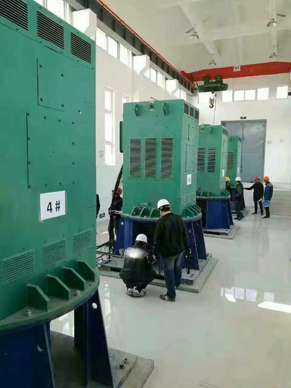 陕西某污水处理厂使用我厂的立式高压电机安装现场